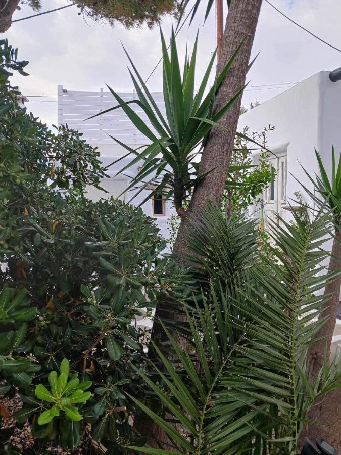 Cassaris Mykonos Drafaki Exterior foto