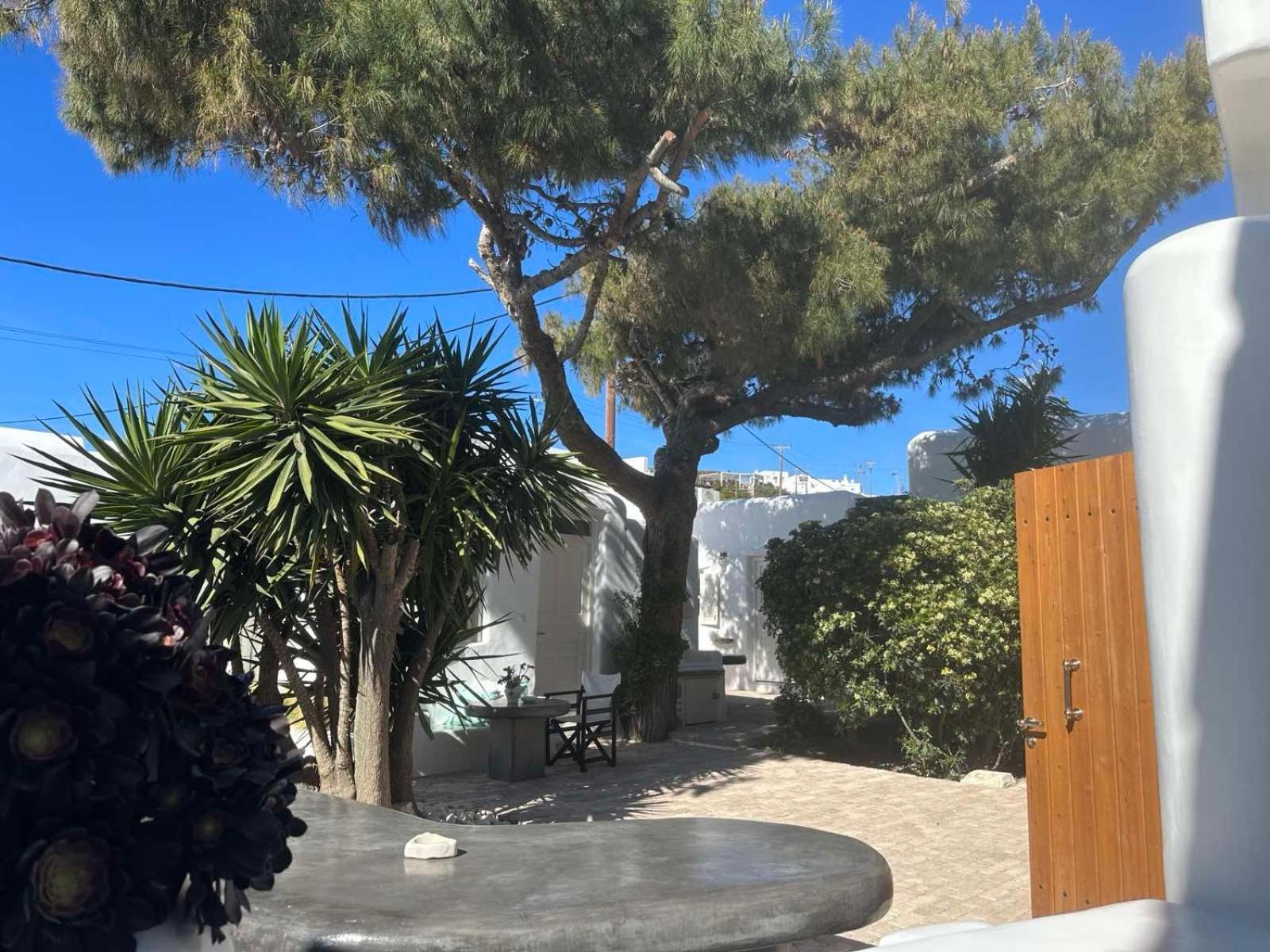 Cassaris Mykonos Drafaki Exterior foto